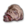 R severed head.png