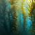 Tech toxic kelp.png