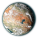 File:Planet arid.png